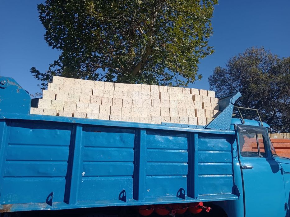 Pishgan gisht teshikli va butun