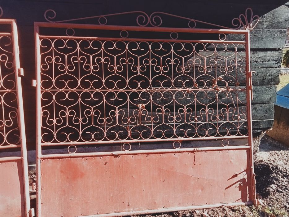 Porți metalice intrare