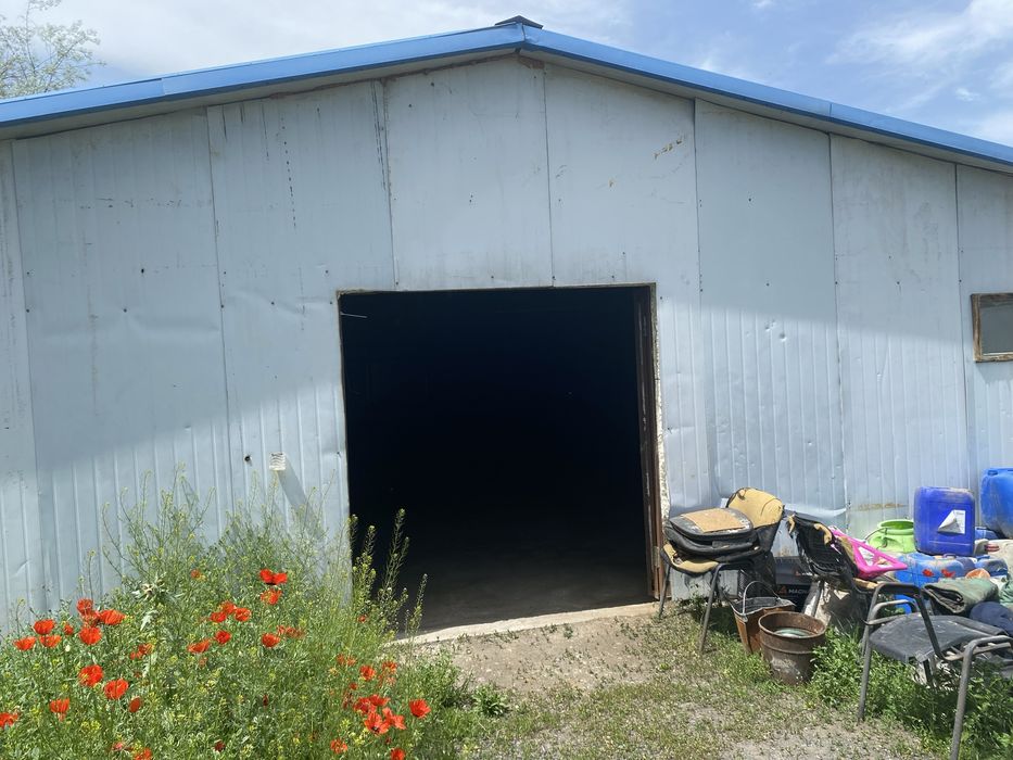 Аренда базы для птицыфабрике