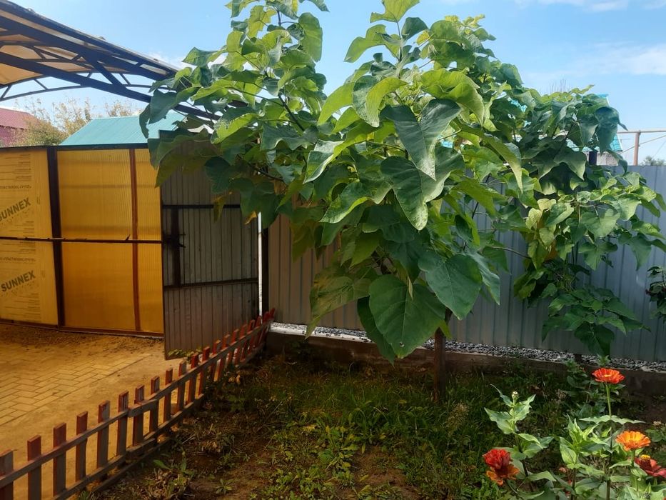 Продам частный дом