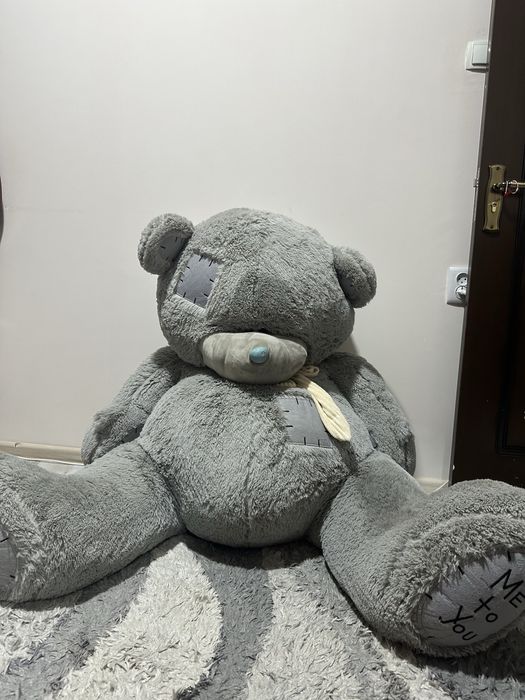 Tedy argnal yeggi sotladi