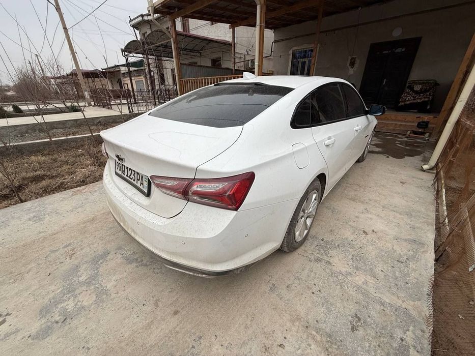 Malibu sotiladi 2023