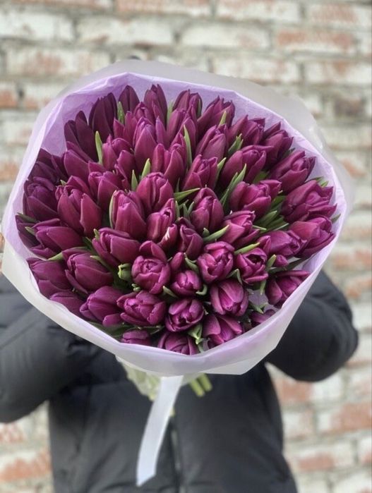 Тюльпаны ОПТОМ И В розницу предзаказ доставка цветы