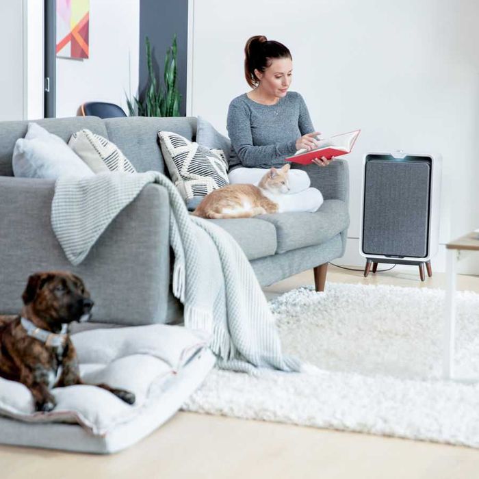 Пречиствател на въздух Въздухопречиствател BISSELL Винтидж дизайн