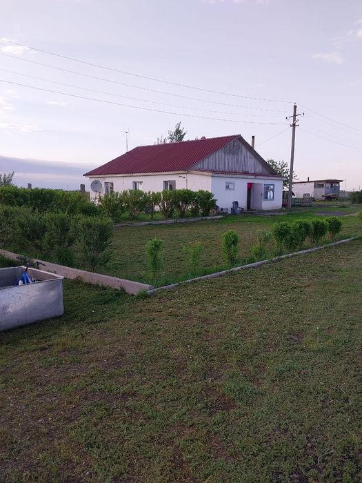 Животноводческое хозяйство