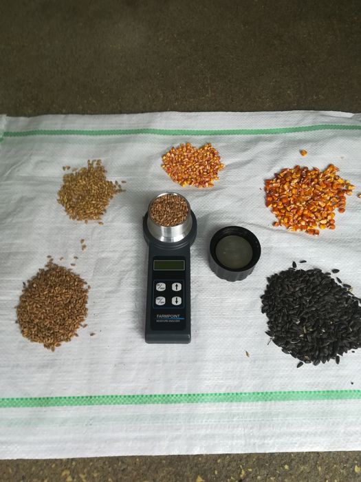 Vind cereale de cea mai buna calitate