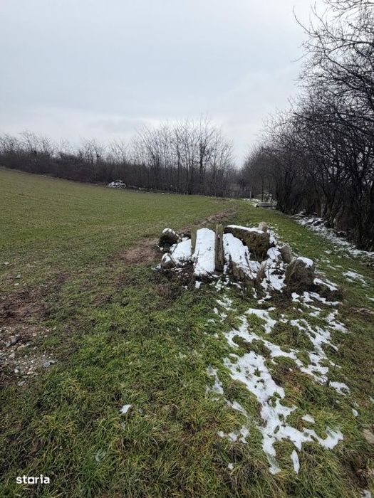 Teren de 6700mp, la intrarea in Filiasi ,la 50m de str. Racoteanu