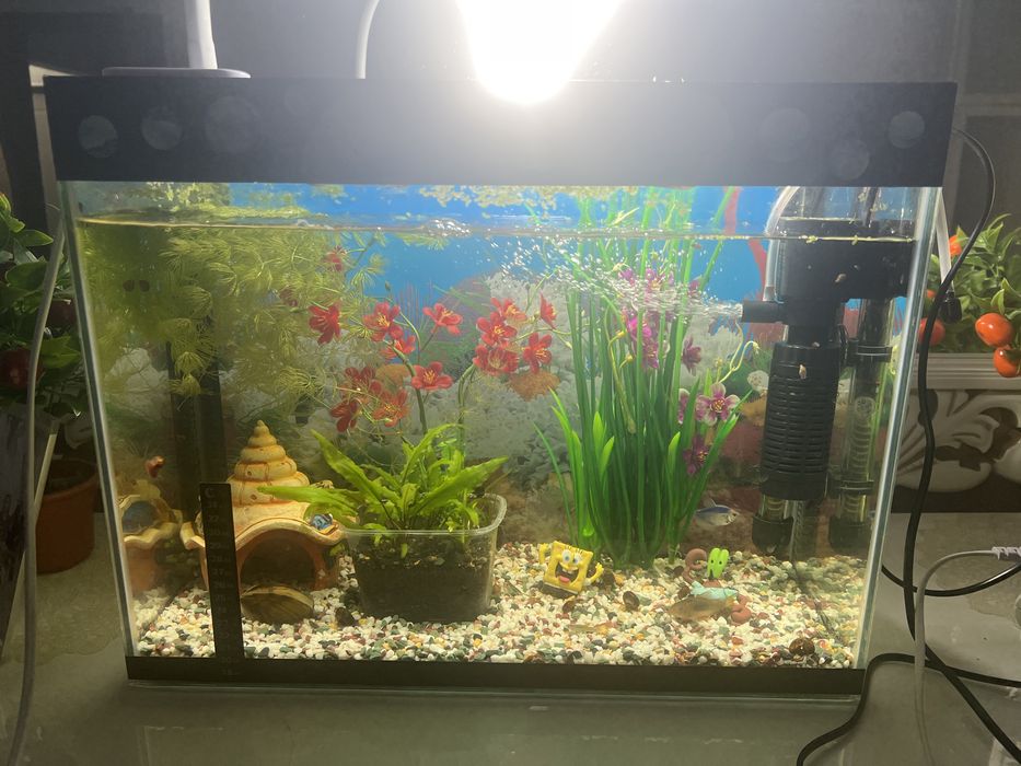 Аквариум комплект