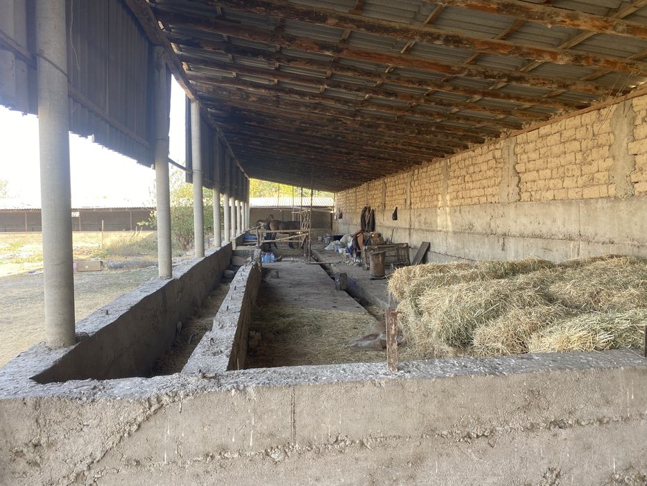 Сдаётся фирма на окраине города