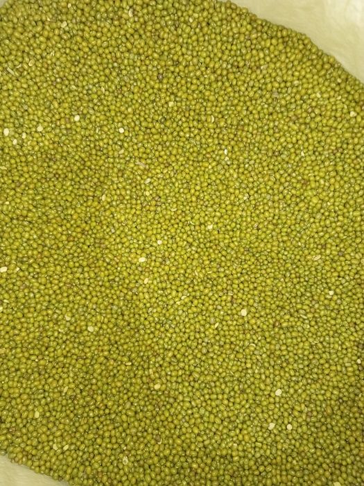 Palirofka sotiladi mosh artadi