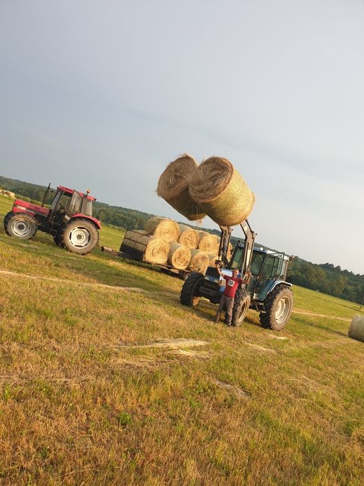 Baloți de  lucernă.