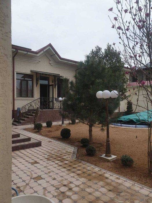 Газон рулонный Gazon посевной