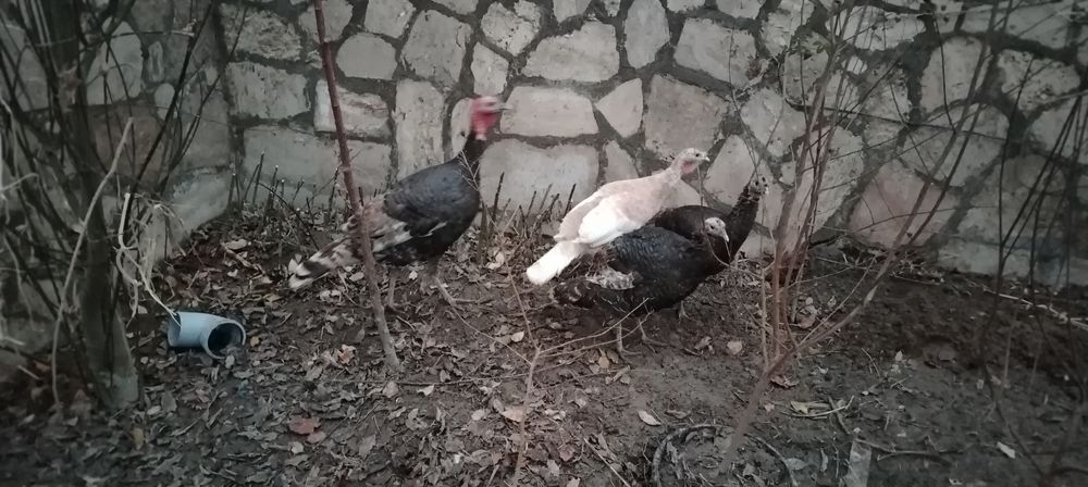 Куртка 1нар 3мода сотилади