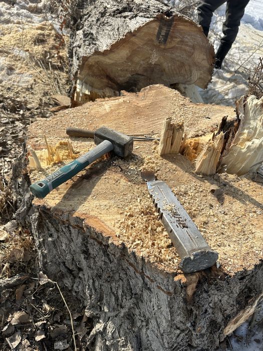 Спил Деревьев,Агаш кесемыз.