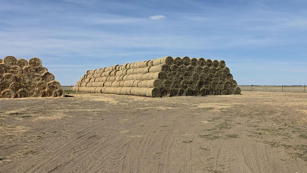 Продам сено. Шөп