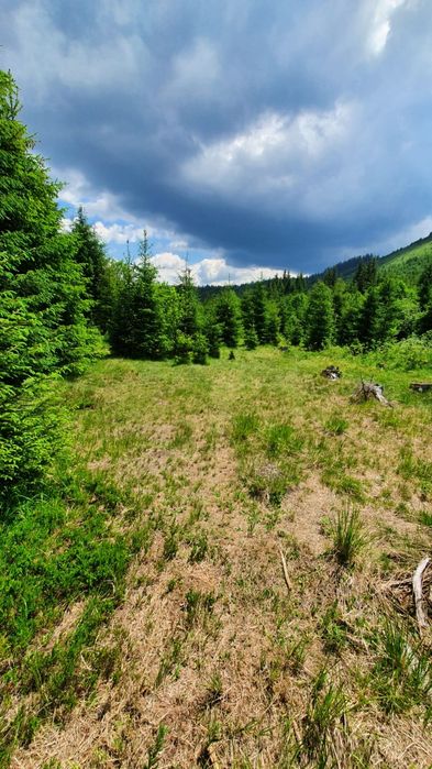 Teren Obarsia Lotrului Râul Lotru Lacul Vidra Transalpina Ski Resort