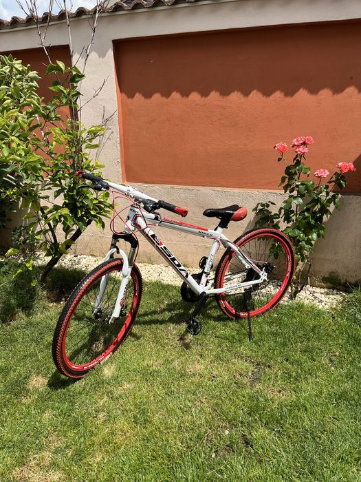 Bicicleta mtb rosie