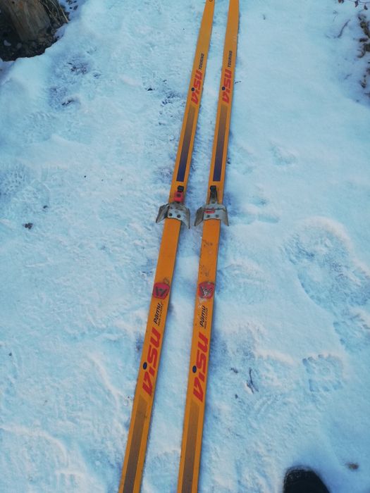 Продам лыжи полупластик.