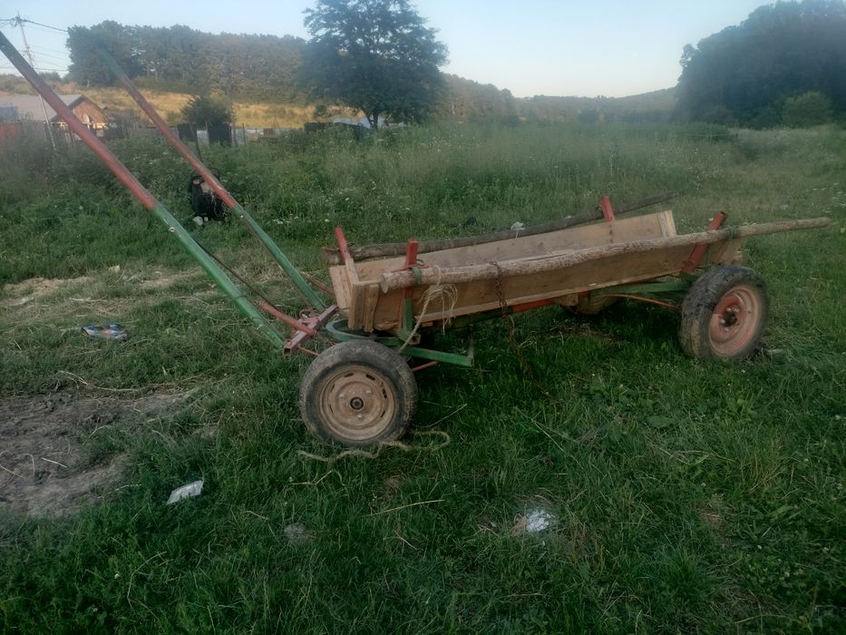Vând iapa puls ham și căruță