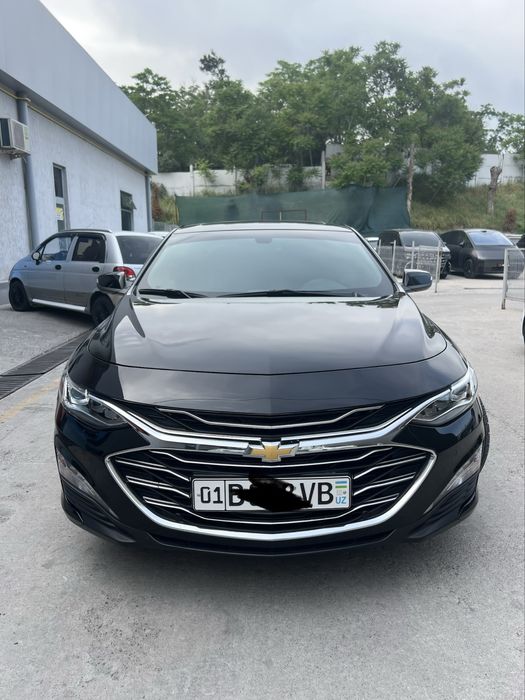 Malibu 2021 premier full