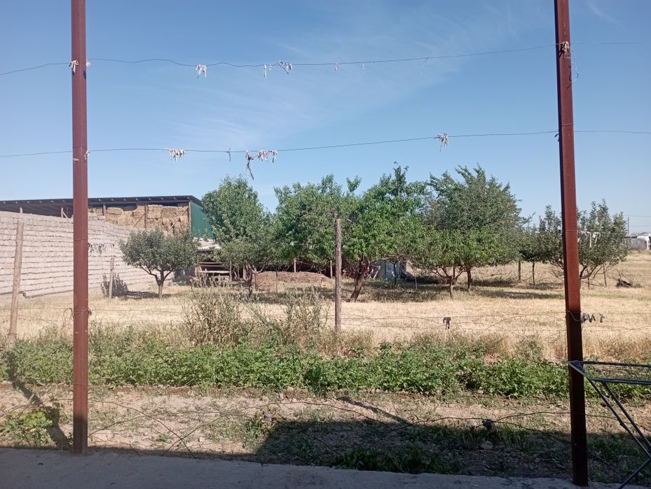 Срочна сатылады багасы келсымды