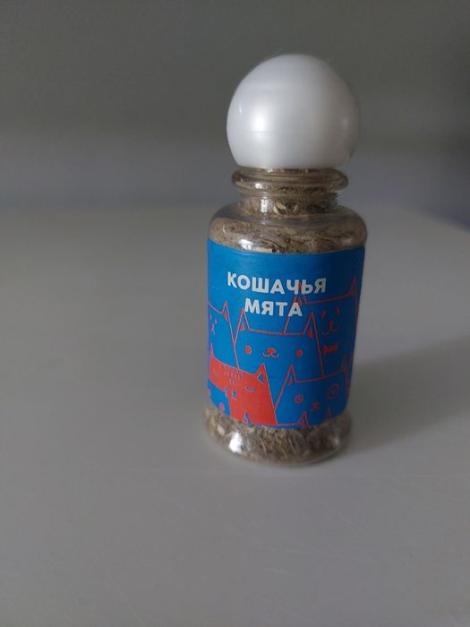 игрушки и шлейка для котенка