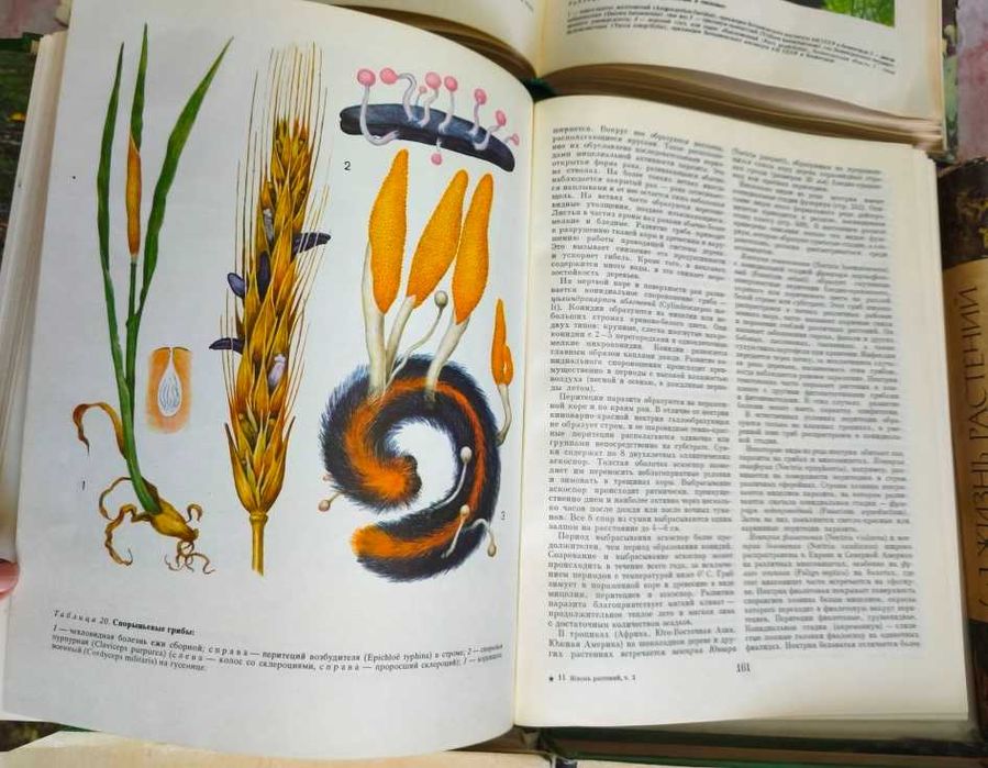 Жизнь растений в 6 томах (7 книг)