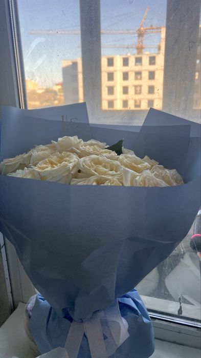 Продам цветы свежие