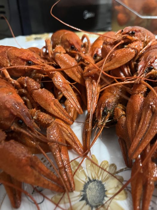 Живые, вареные , в рассоле раки