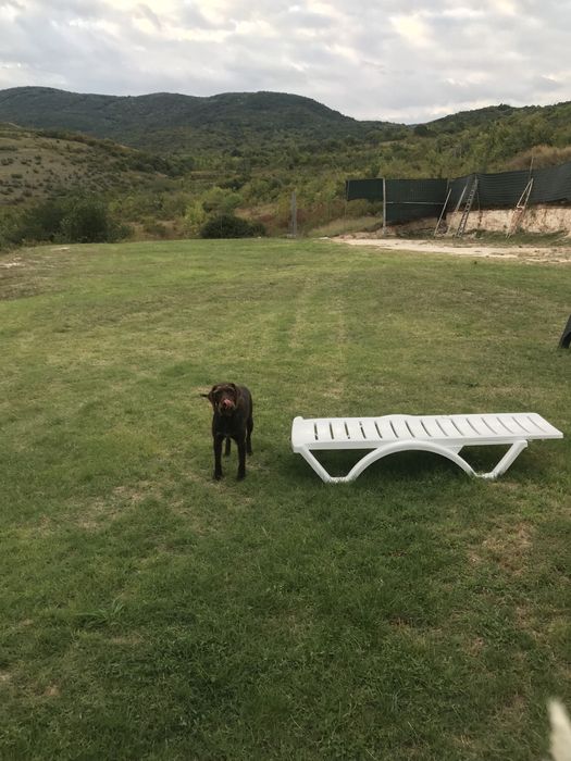 Продава се Парцел в Перущица - 2500 кв.м за 35 €/кв.м - Снимка #4