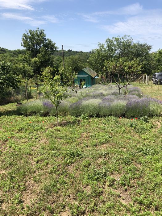 Продава се Къща в с. Пиргово, Област Русе - 20 кв.м за 192 €/кв.м - Снимка #2