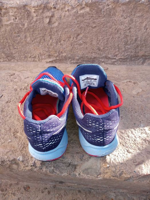 Nike Zoom Pegasus 33