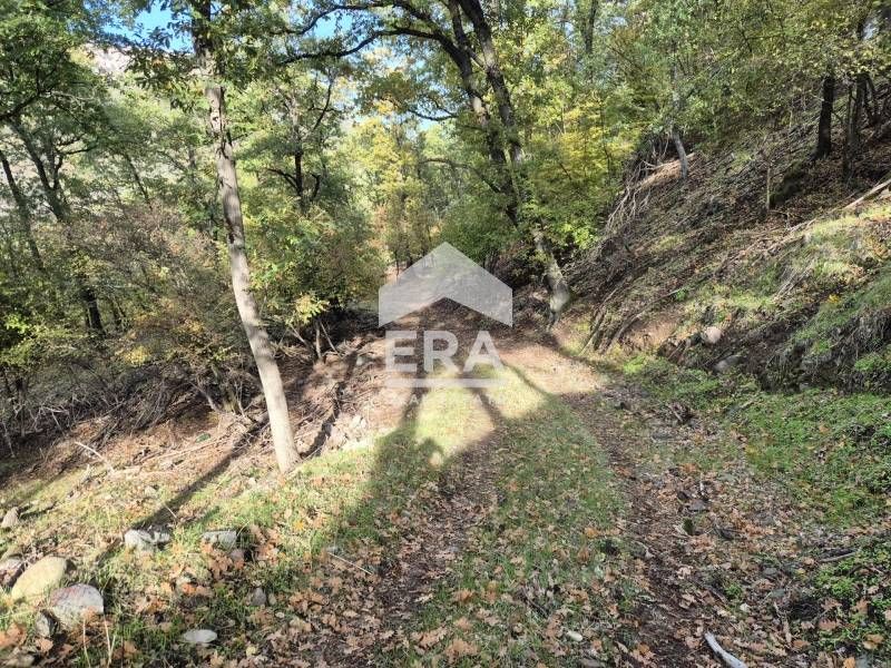 Продава се Парцел в с. Гургулица, Област Кърджали - 3342 кв.м за 50 €/кв.м - Снимка #3