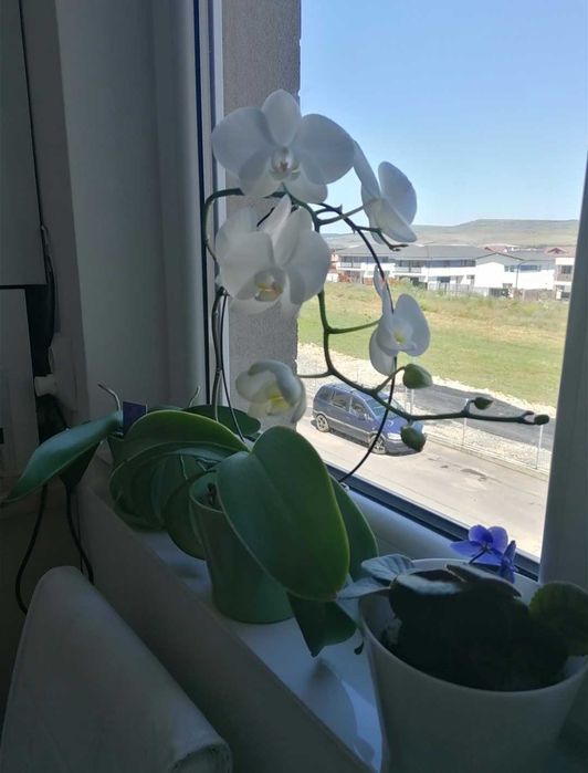 Închiriez și /sau  vând apartament  Floresti, jud. Cluj