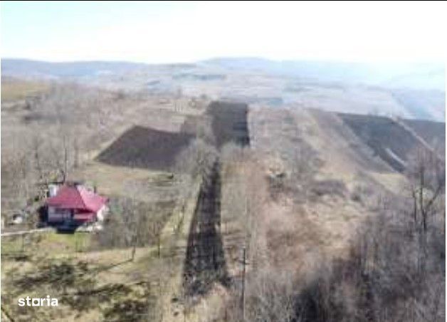 Teren intravilan/extravilan Ciofeni, ID: R3013251