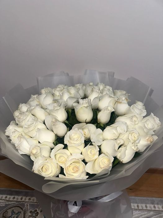 Свежие белые розы  51шт