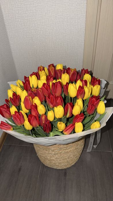101 тюльпан свежий