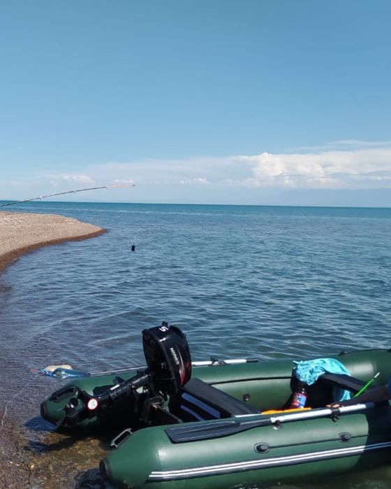 Лодочный мотор Hidea 5