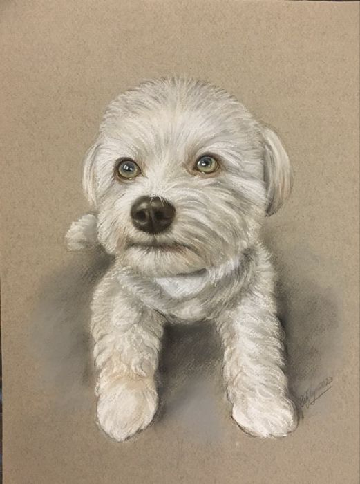 Портрети по снимка