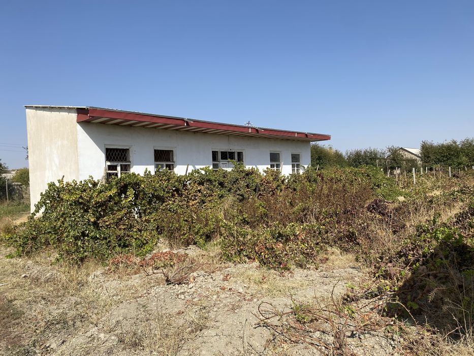 Самаркан вилояти Иштихон тумани Митан шахарчаси Х-Хусан к/к