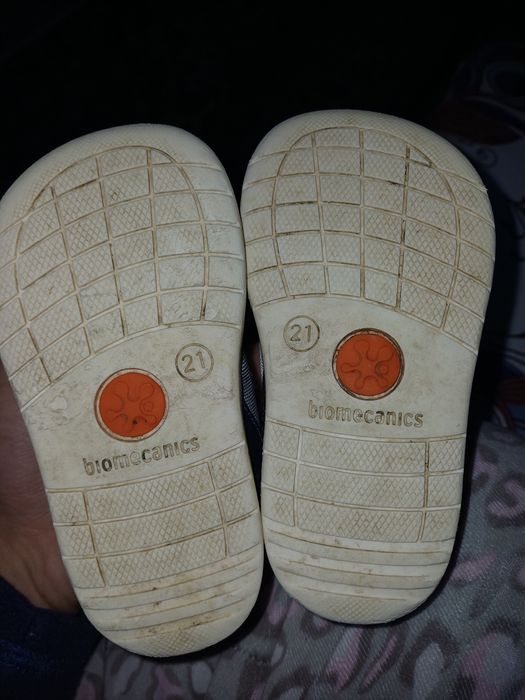 Papucei biomecanics