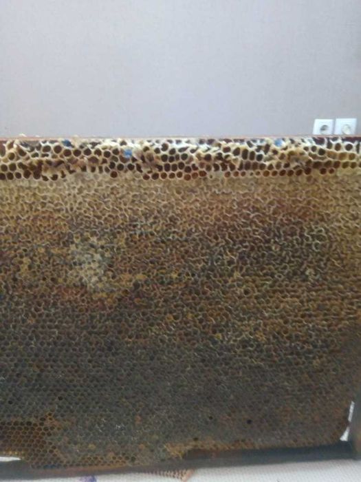 Продам мед горный