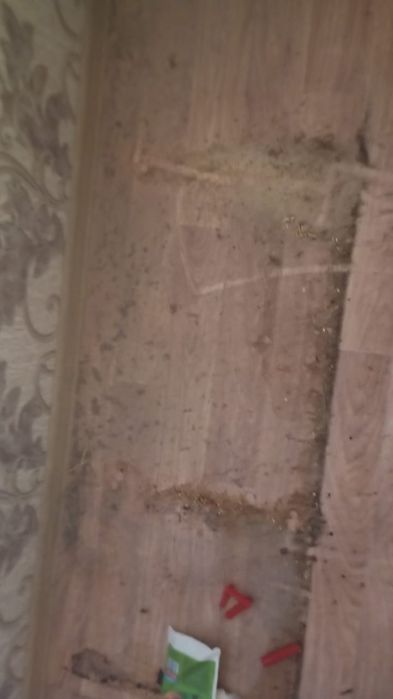 Предоставляем услуги клининга