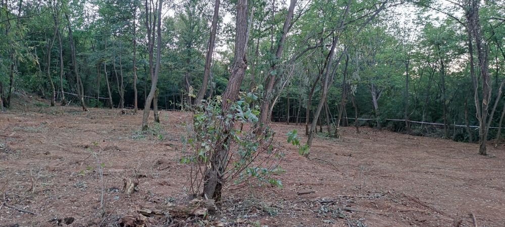 Продава се Парцел в Ботевград - 1293 кв.м за 49 €/кв.м - Снимка #8