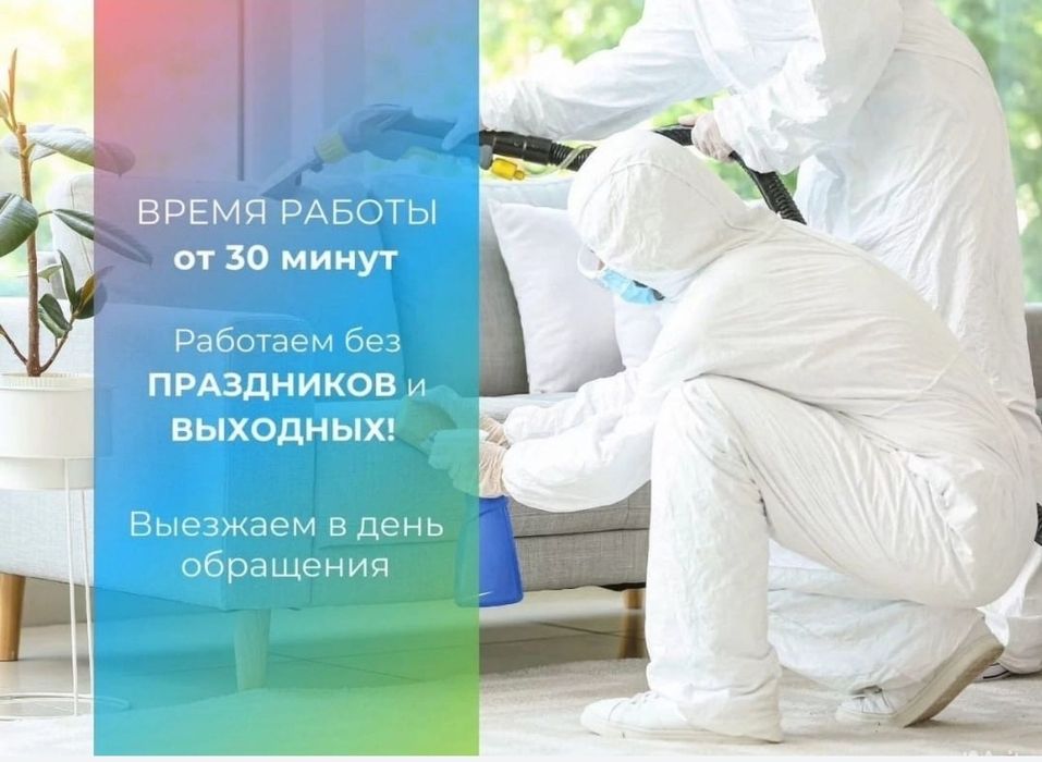 Уничтожение клопов и тараканов