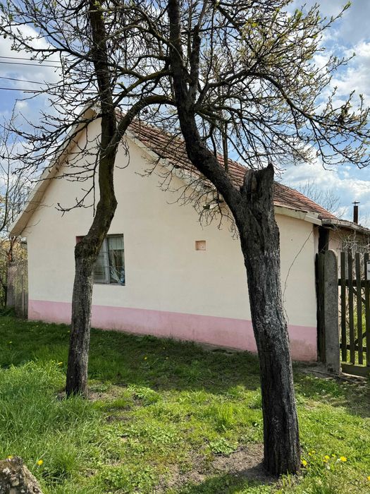 Teren intravilan cu casa batraneasca in vatra satului Dragsina