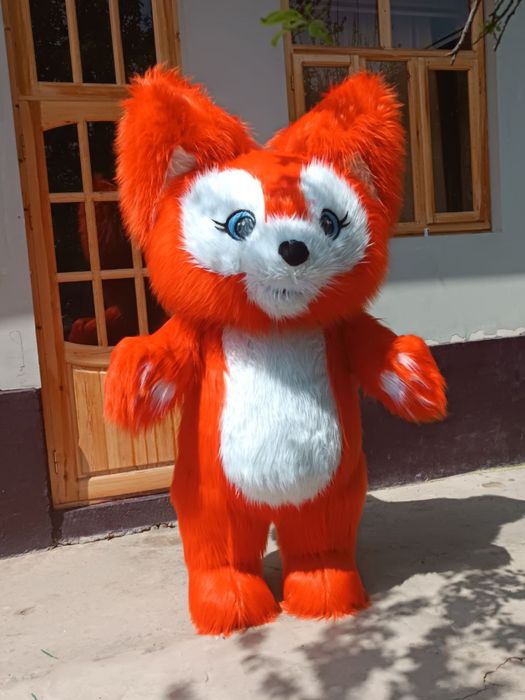 Kotta ayiqlar Sotilad