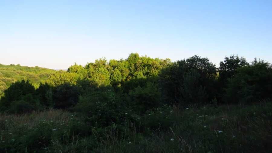 Продава се земя в частична регулация за жилищни нужди - с. Горица