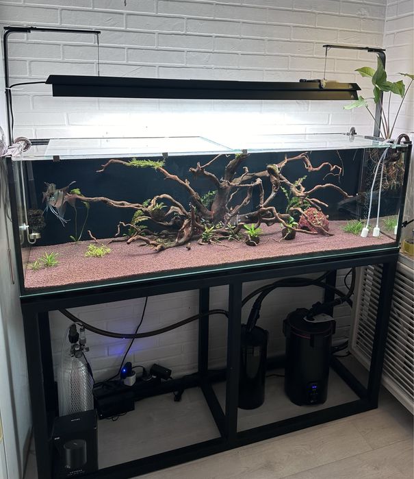 Акварим в полном комплекте