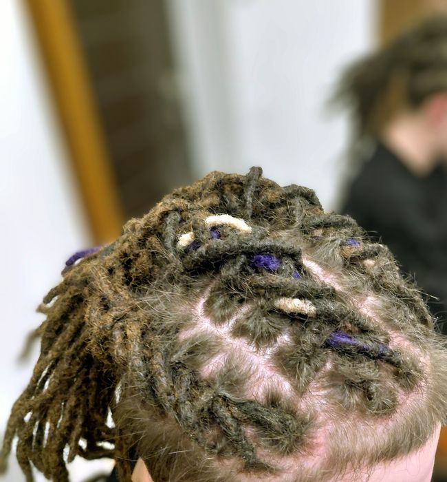 Dreaduri și codițe afro/ braids